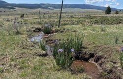 27989 US HWY 64, Eagle Nest, NM 87718