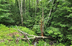 YOUGH VIEW DRIVE, OAKLAND, MD 21550