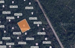 426 MADISON Street, SATSUMA, FL 32189