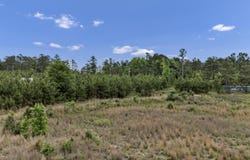 Bull Swamp, North, SC 29112