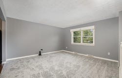 3776 Feather Lane, Elsmere, KY 41018
