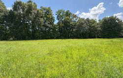 0 L D Knox Rd., Gilbert, LA 71336