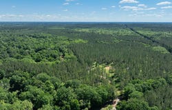 - Three Mile Stretch, Ellisville, MS 39437