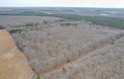 Williams Road, Bald Knob, AR 72010