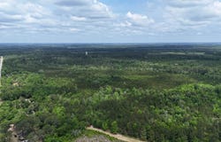 Vacant Old Federal Road, Quincy, FL 32351