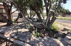 18 Wedge Lane, Concho, AZ 85924