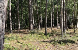 309 Vista Lane, McCormick, SC 29835