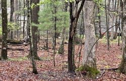 Birch Ln A30, East Stroudsburg, PA 18301