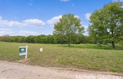 Parcel 10 Leaf Lane, Freeport, MI 49325