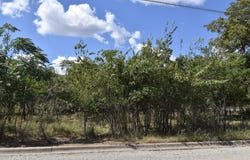 904 E 6th, Brady, TX 76825