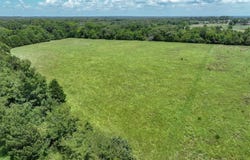 1956 VZ County Road 4511, Ben Wheeler, TX 75754