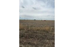 Peoria Crossing Rd, Wiggins, CO 80654