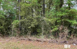 Frazier Street, East Brewton, AL 36426