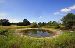 5341 County Road 236, Liberty Hill, TX 78642