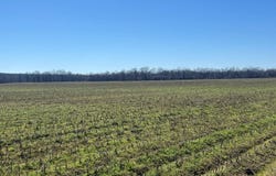 001 CR 532, Avalon, MS 38917