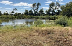 8989 Farm To Market Road 141, Dime Box, TX 77853