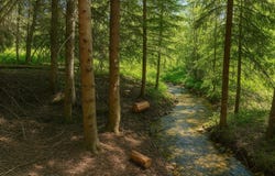 1519 Blue Slide Road, Thompson Falls, MT 59873