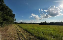 Tract 11a Audrain Rd 935, Mexico, MO 65265