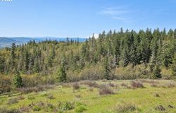 33 Acres off Canyon RD., Lyle, WA 98635