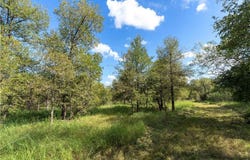 0 S Hwy 183, Lockhart, TX 78644