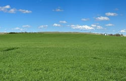 +/- 361 Acres, Keya Paha County, Newport, NE 68759