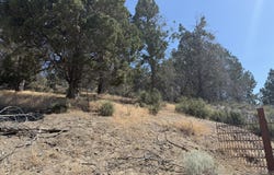 0 Mountain Trout Lane, Chiloquin, OR 97624