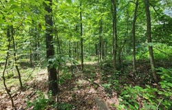 Lot 16 Kettering  LN, Bella Vista, AR 72714