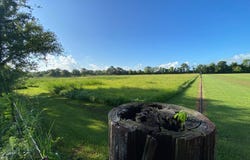 TBD Baudoin Rd, Maurice, LA 70555