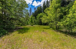 525 Sherier Road, Cave Junction, OR 97523