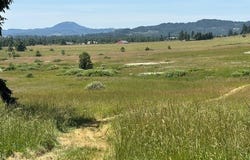N Morningstar Road, Pleasant Hill, OR 97455