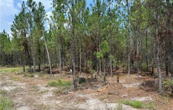 0 (lot 4) Corbitt Road, Manor, GA 31550