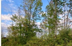 00 Trenton Road, Deerfield, NY 13502