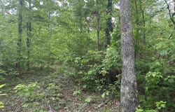 000 Holley Mtn Rd, Clinton, AR 72031