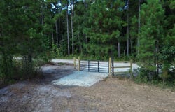 Bethel Forest Road, Tract 2, Orangeburg, SC 29133
