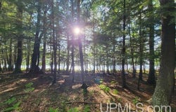 TBD Wildwood, Iron River, MI 49935