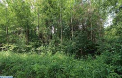 xxx Lane 51, Aurora, MN 55705