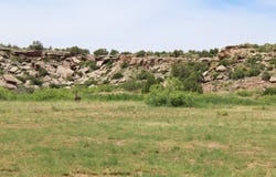 615 Bullhead Drive, Conchas Dam, NM 88416