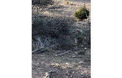 3420 NE County Rd 2596, Sonora, TX 76950