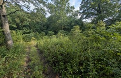 Lot 9 Azalea Lane, Branson West, MO 65737