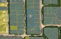 CEDAR TRAIL, INTERLACHEN, FL 32148