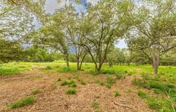 0 Abel Road, New Ulm, TX 78950
