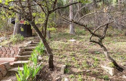 9020 Pine Ave., Beulah, CO 81023