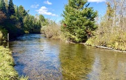 14721 Trowbridge, Wolverine, MI 49799