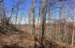 Pete Coulee Road, Taylor, WI 54659