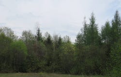 TBD Dunham Road, Marenisco, MI 49947