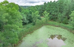 TBD Low Gap  RD, West Fork, AR 72774