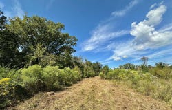 5 Highway 35, Walnut Grove, MS 39189