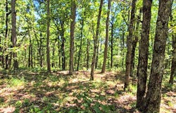 169375 Indian Highway, Talihina, OK 74571