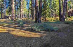 11561 Bottcher Loop, Truckee, CA 96161