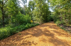Alexander Road, New Concord, KY 42076
